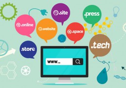 域名對于互聯網來說是很重要的 如何查詢域名注冊？